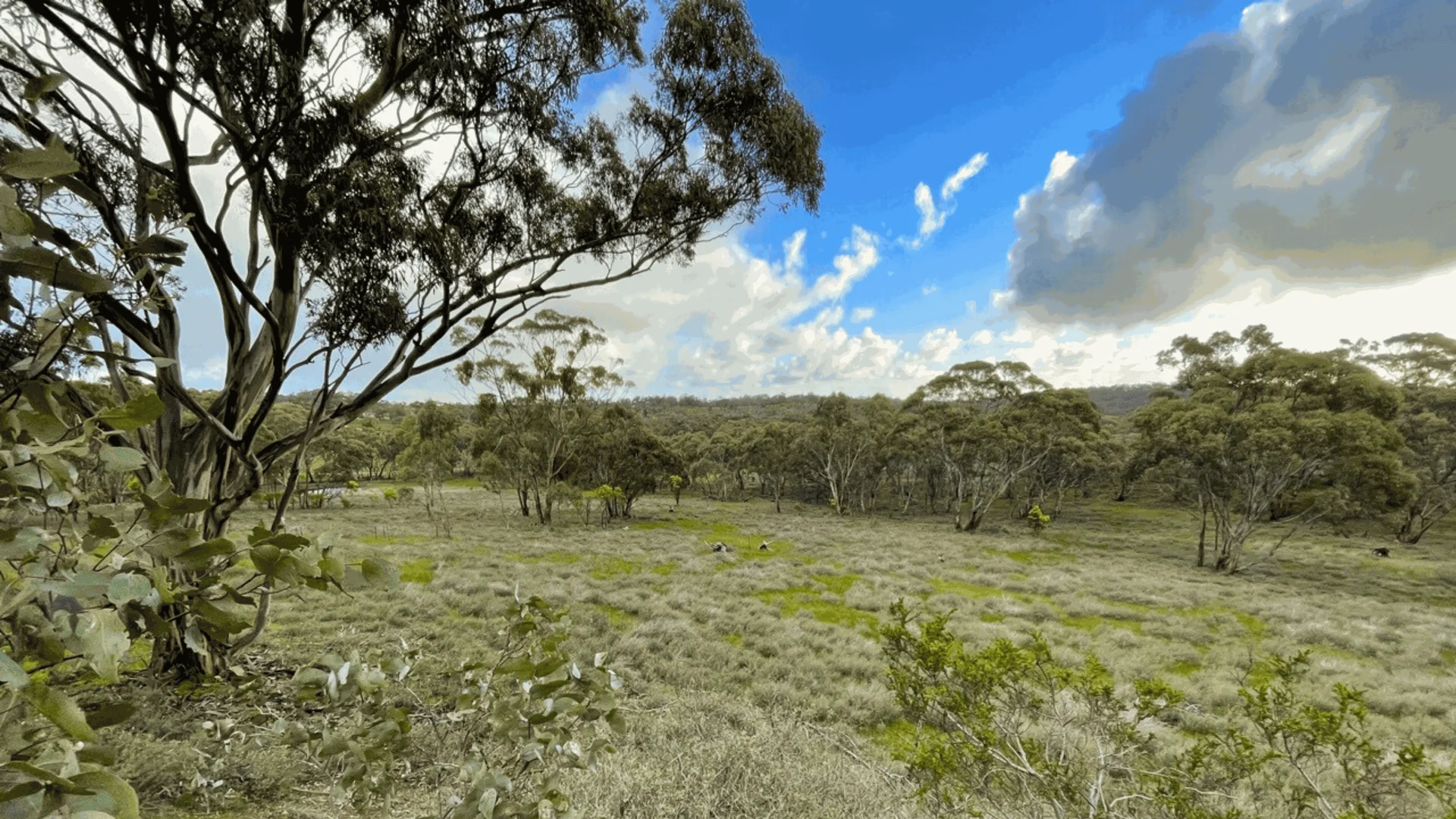 Lot 26 Spring Gully Road, Emu Flat SA 5453 photo 3