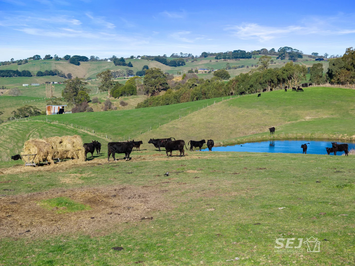 Additional image 8 of 710 Korumburra - Warragul Road, Ranceby VIC 3951