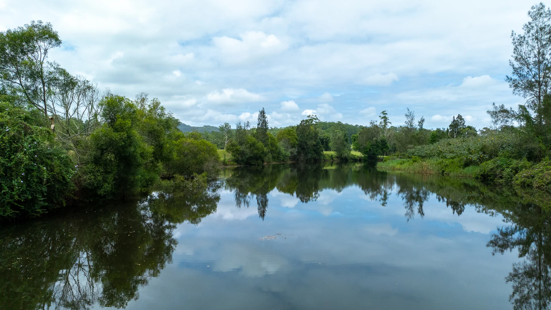 Additional image 5 of 300 Martells Road, Bellingen NSW 2454