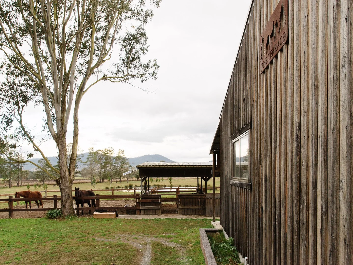 4452 The Bucketts Way, Gloucester NSW 2422