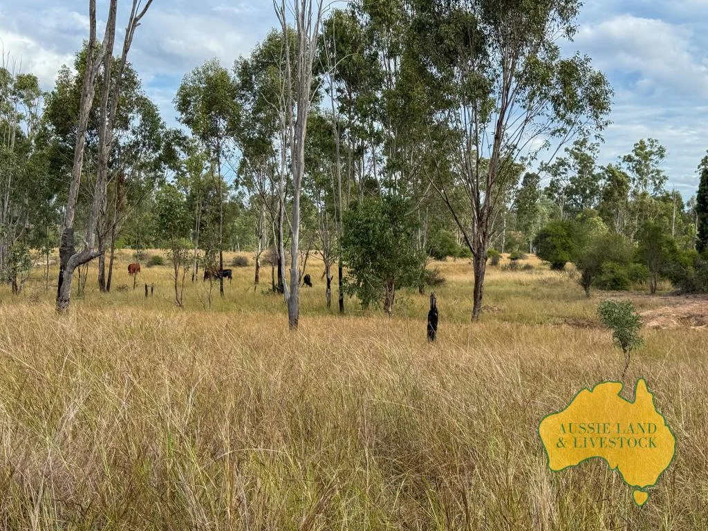 Additional image 52 of 8 SCREENING PLANT ROAD, Cynthia QLD 4627