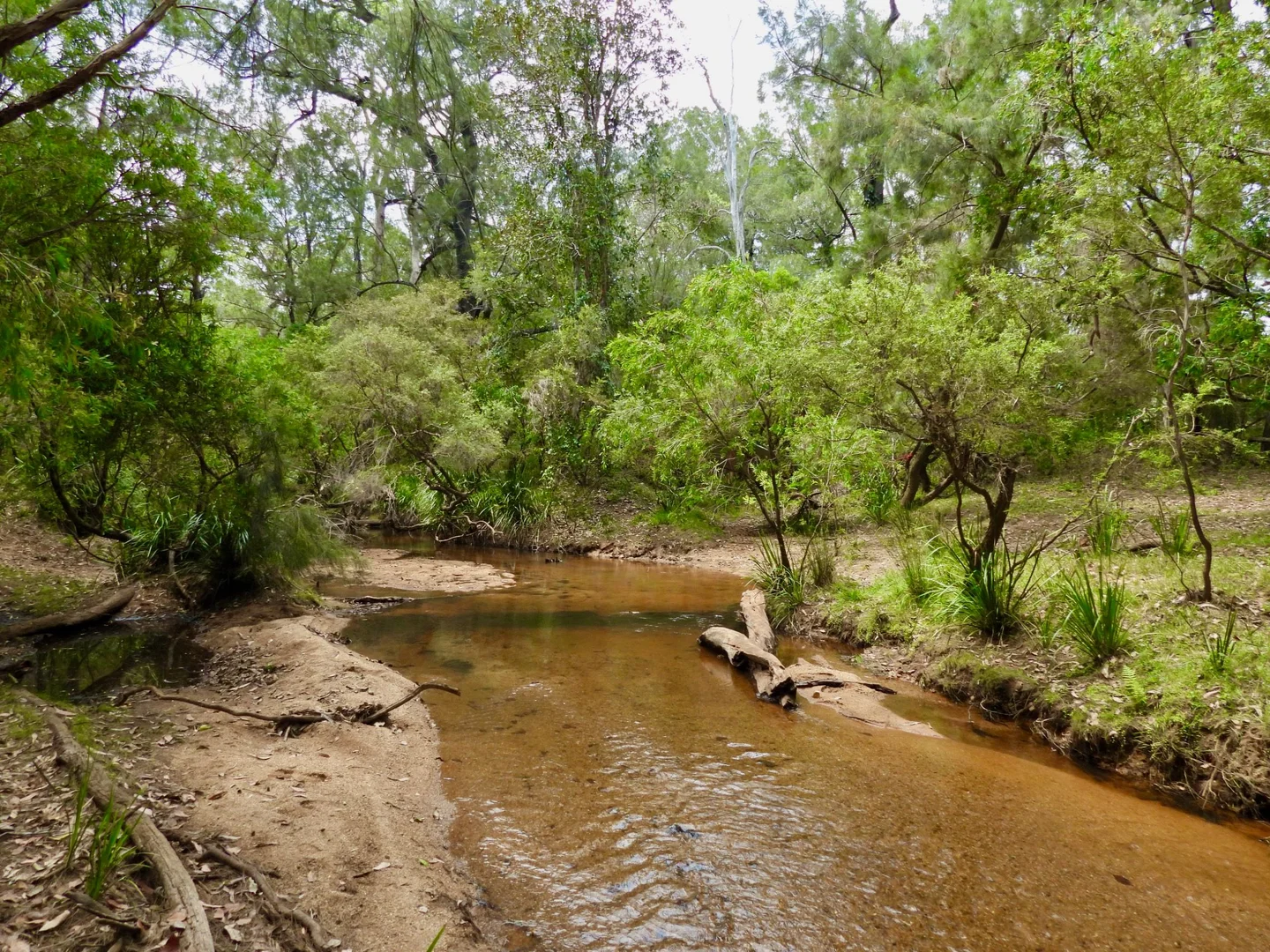 Additional image 4 of 215 Cassell Road, Kalunga QLD 4887