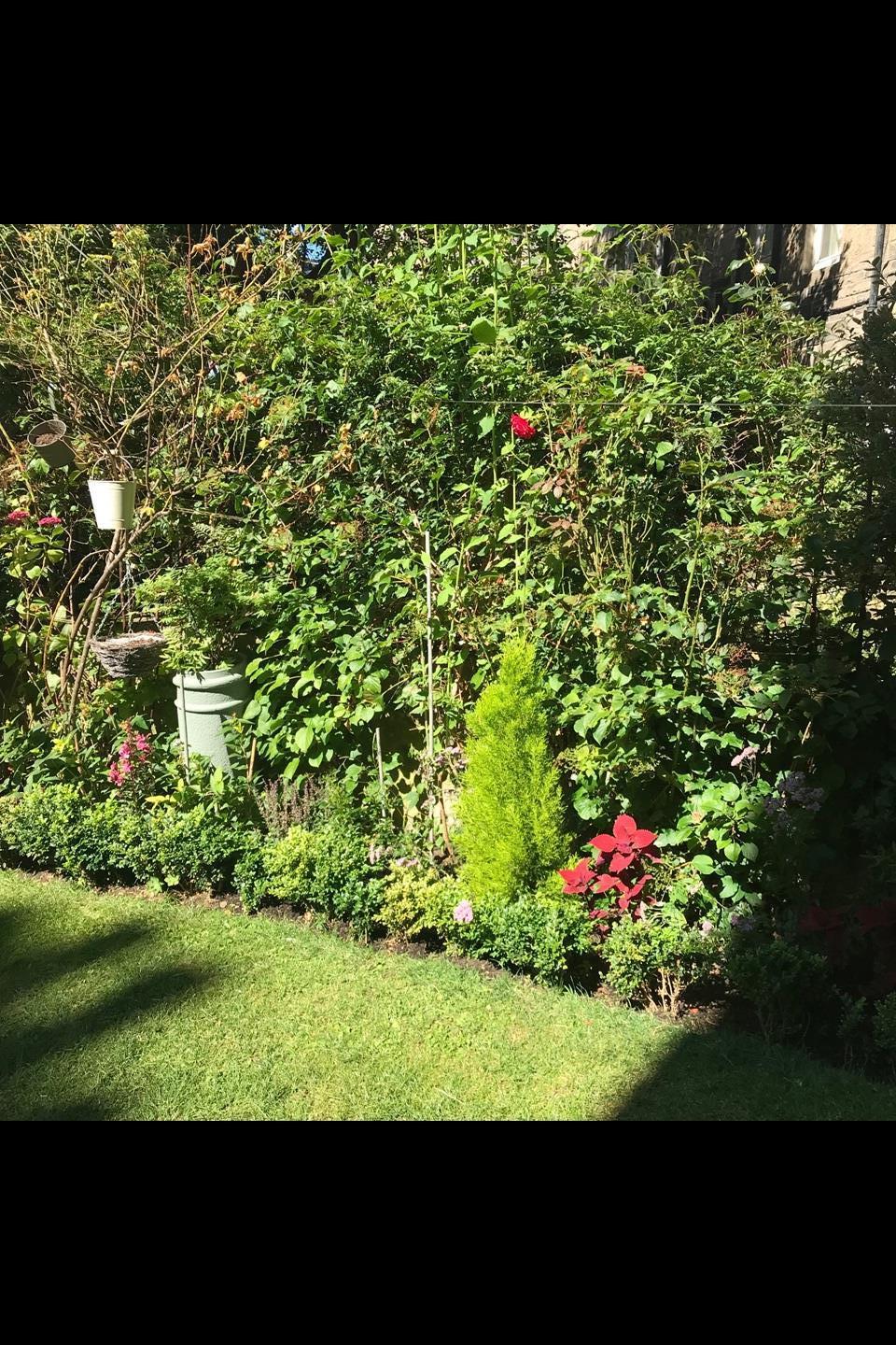 Additional image 17 of 2 Bed Flat, Dean Park Street, EH4, N1 7GU