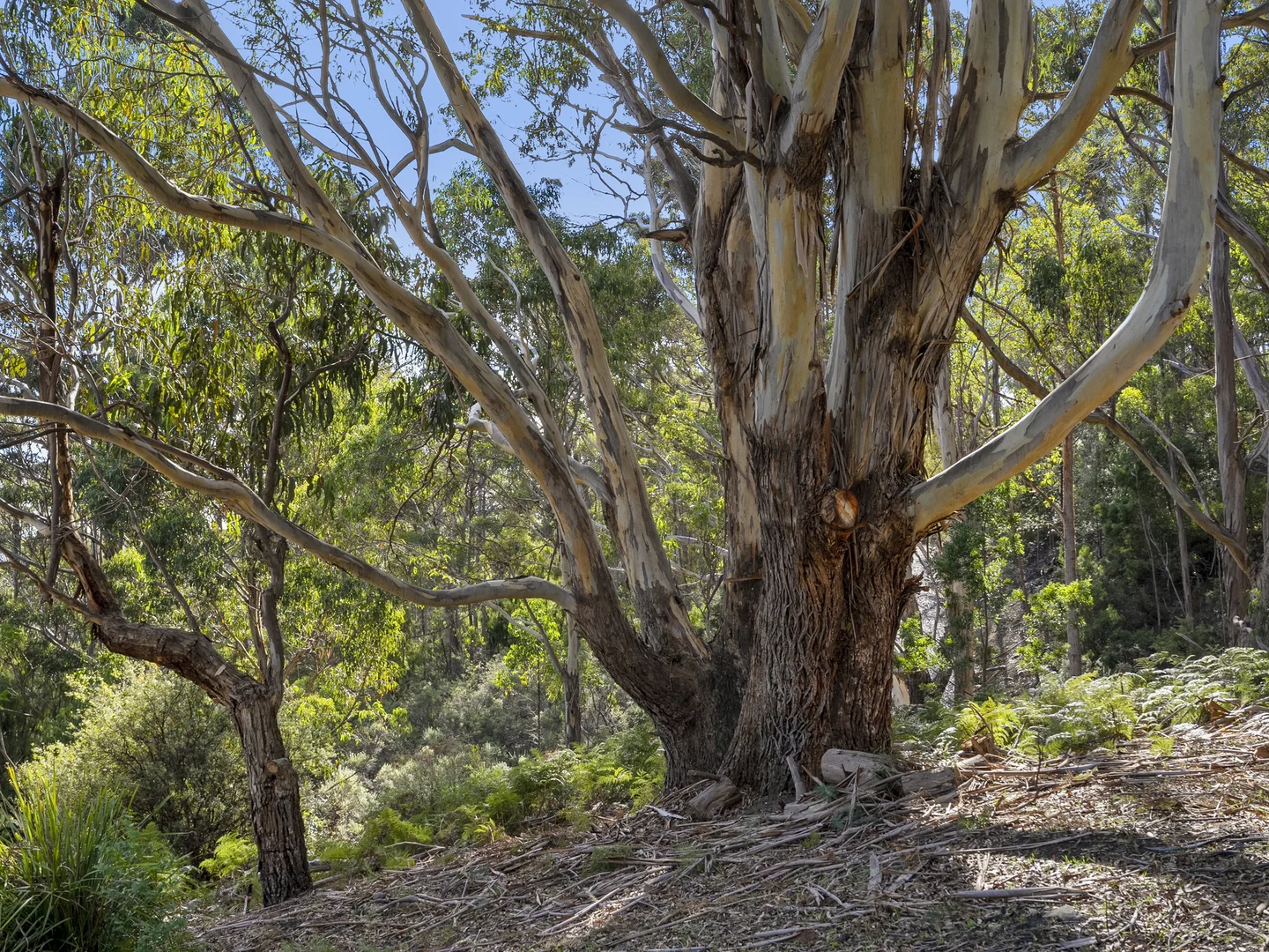 Additional image 23 of 120 Tip Road, Nubeena TAS 7184