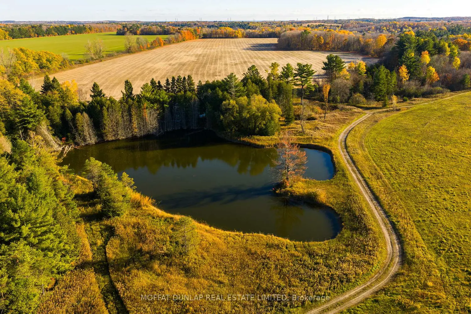 Additional image 20 of 2441 Seventh Line