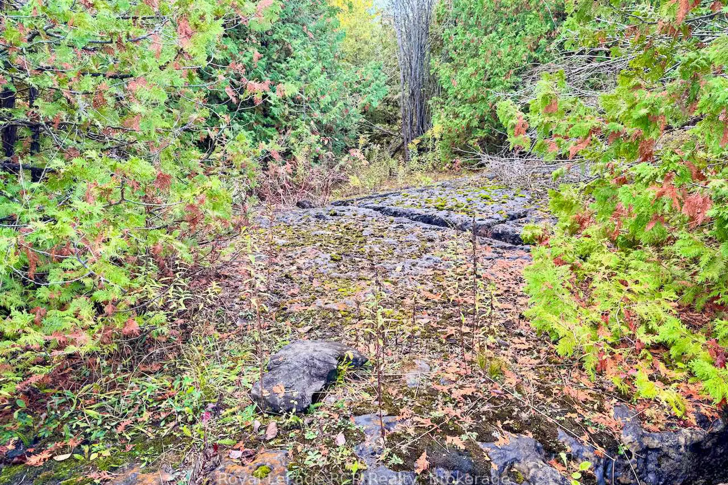 Additional image 15 of 4887 Hwy 6 Highway