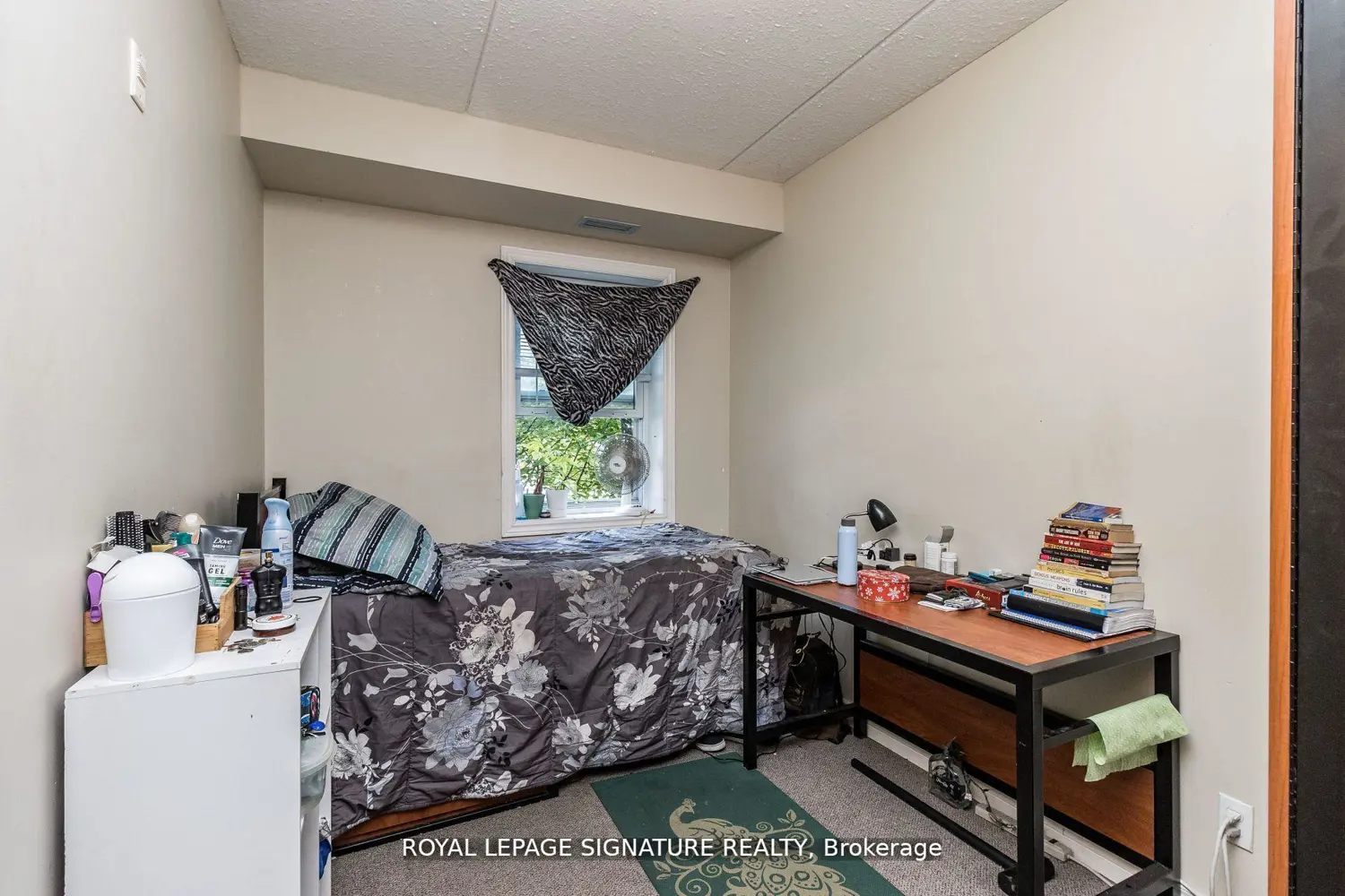 Additional image 10 of 253 Lester Street 101