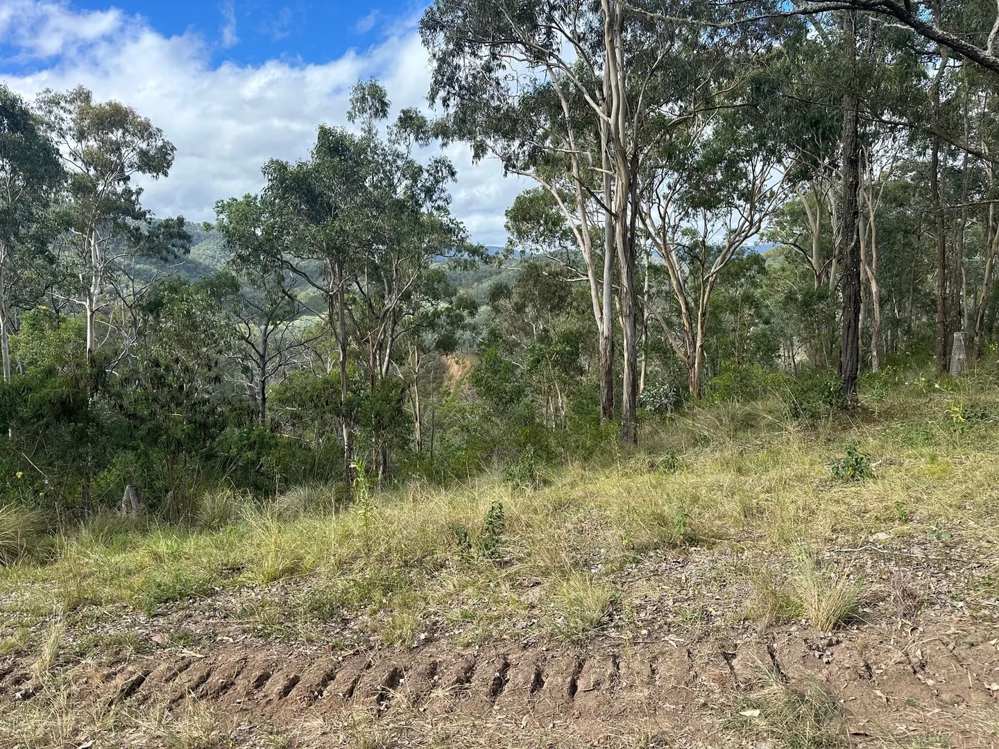 Additional image 7 of Lot 16 Bonner Road, Rivertree NSW 2372