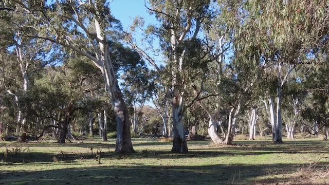 Additional image 9 of 225 Coles-Killanoola Road, Coles SA 5272