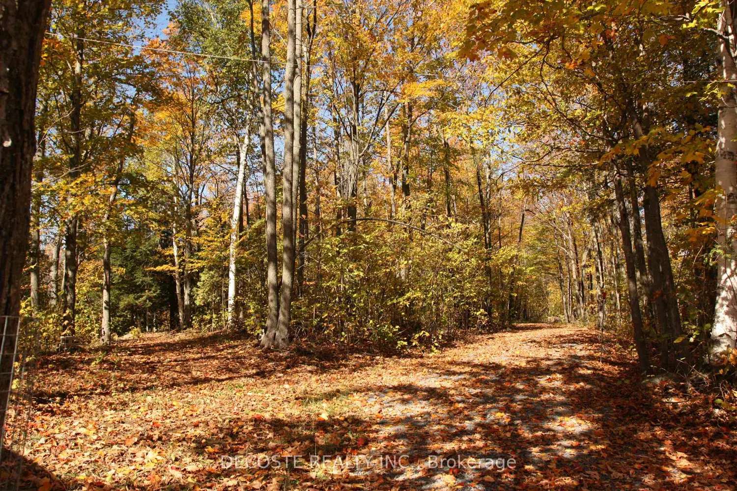 Additional image 11 of 0000 County 43 Road