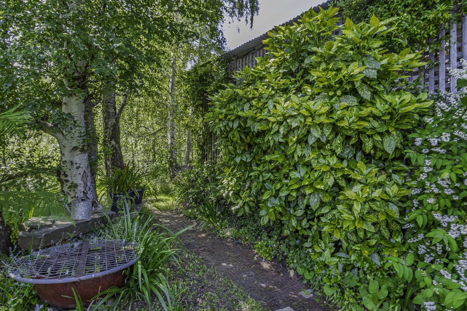 Additional image 39 of 242 Woolleys Road, Lonnavale TAS 7109