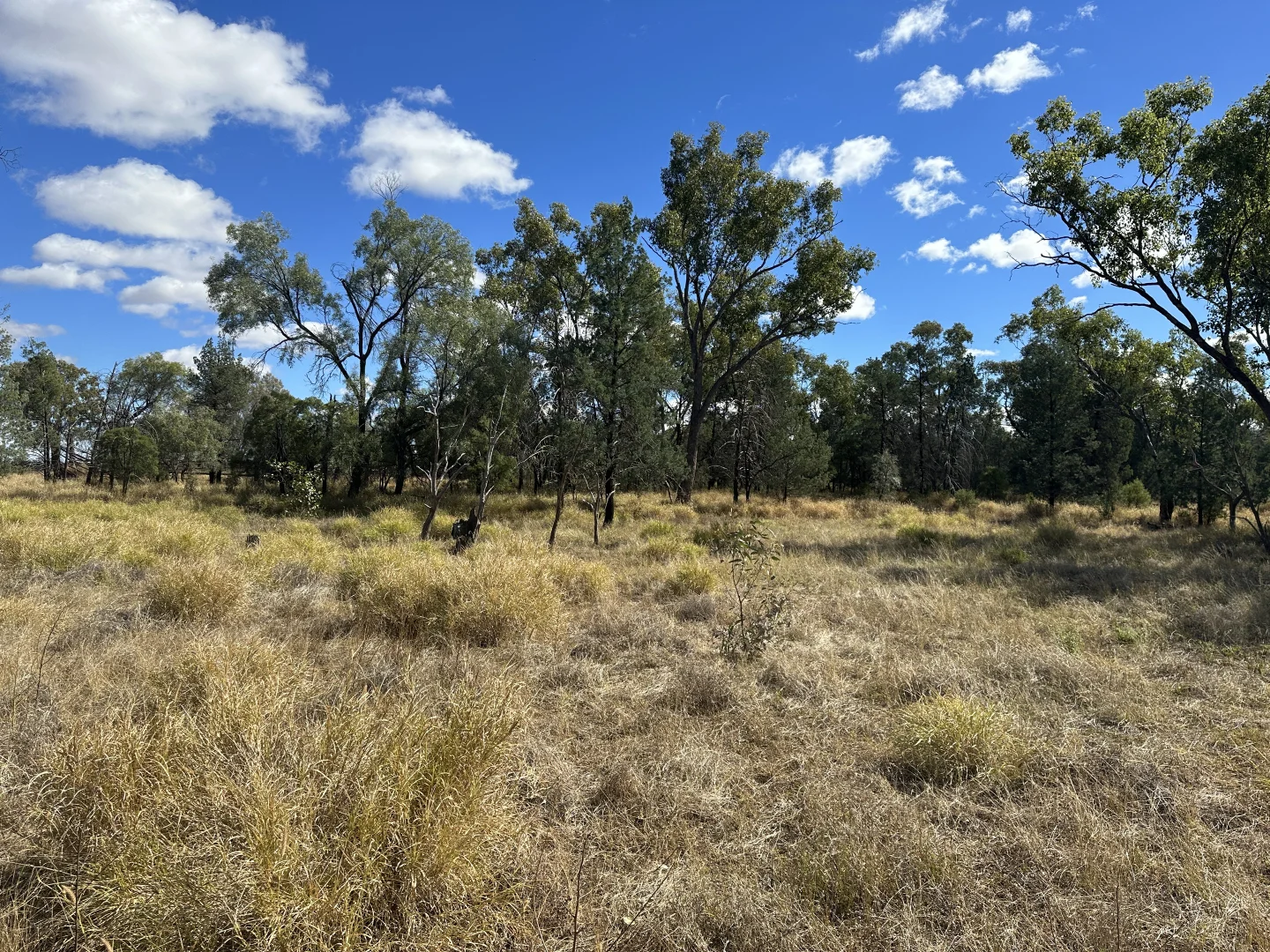 Additional image 4 of 0 Zieman Street, Bakers Bend QLD 4470