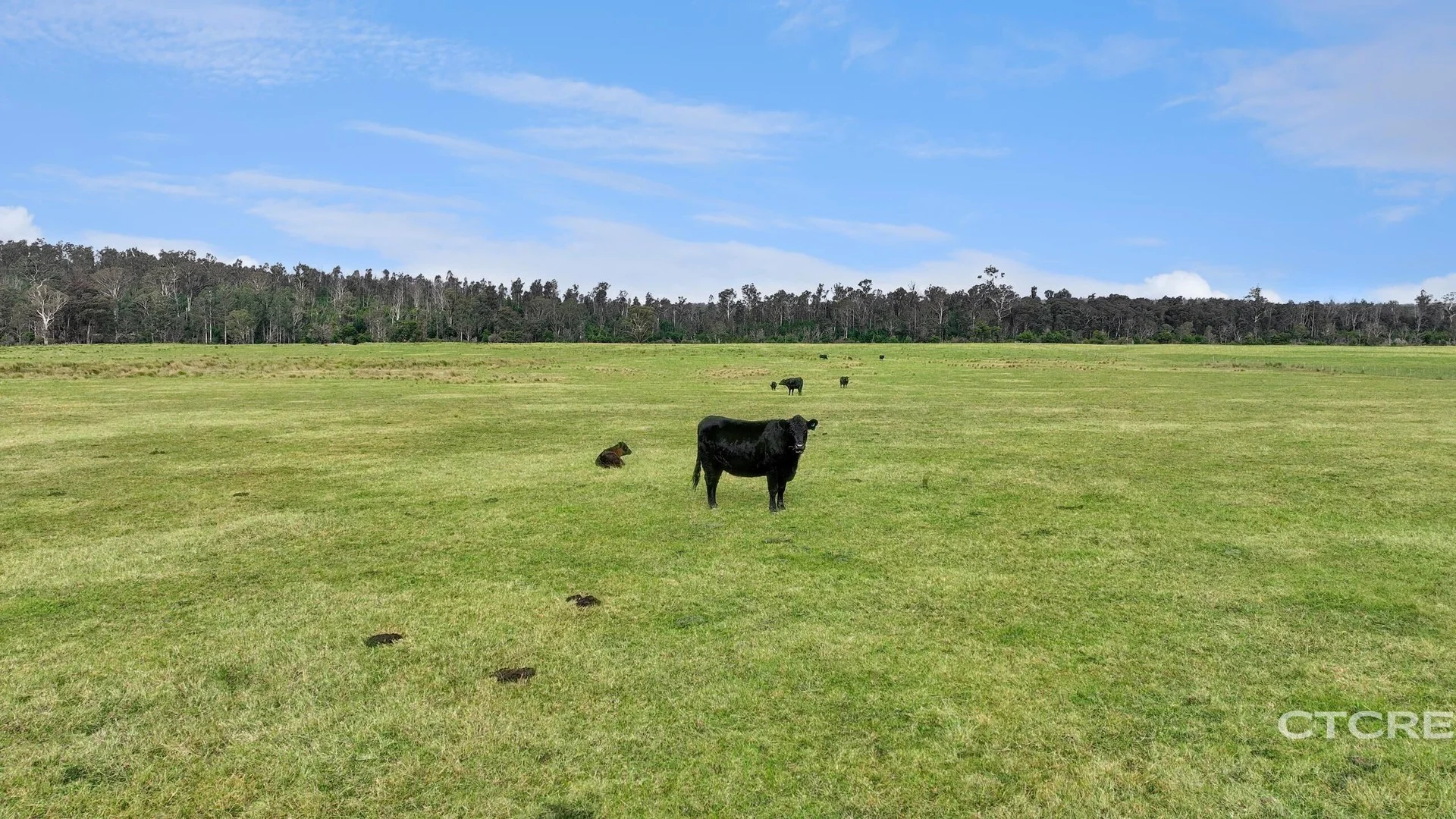 Additional image 3 of 1664 Wangarabell Road, Wangarabell VIC 3891