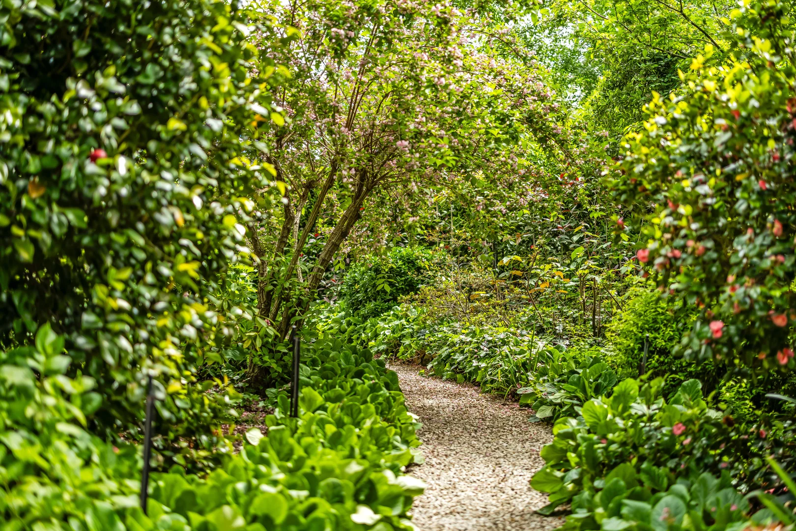 Additional image 35 of 16 Birch Road, Stirling SA 5152