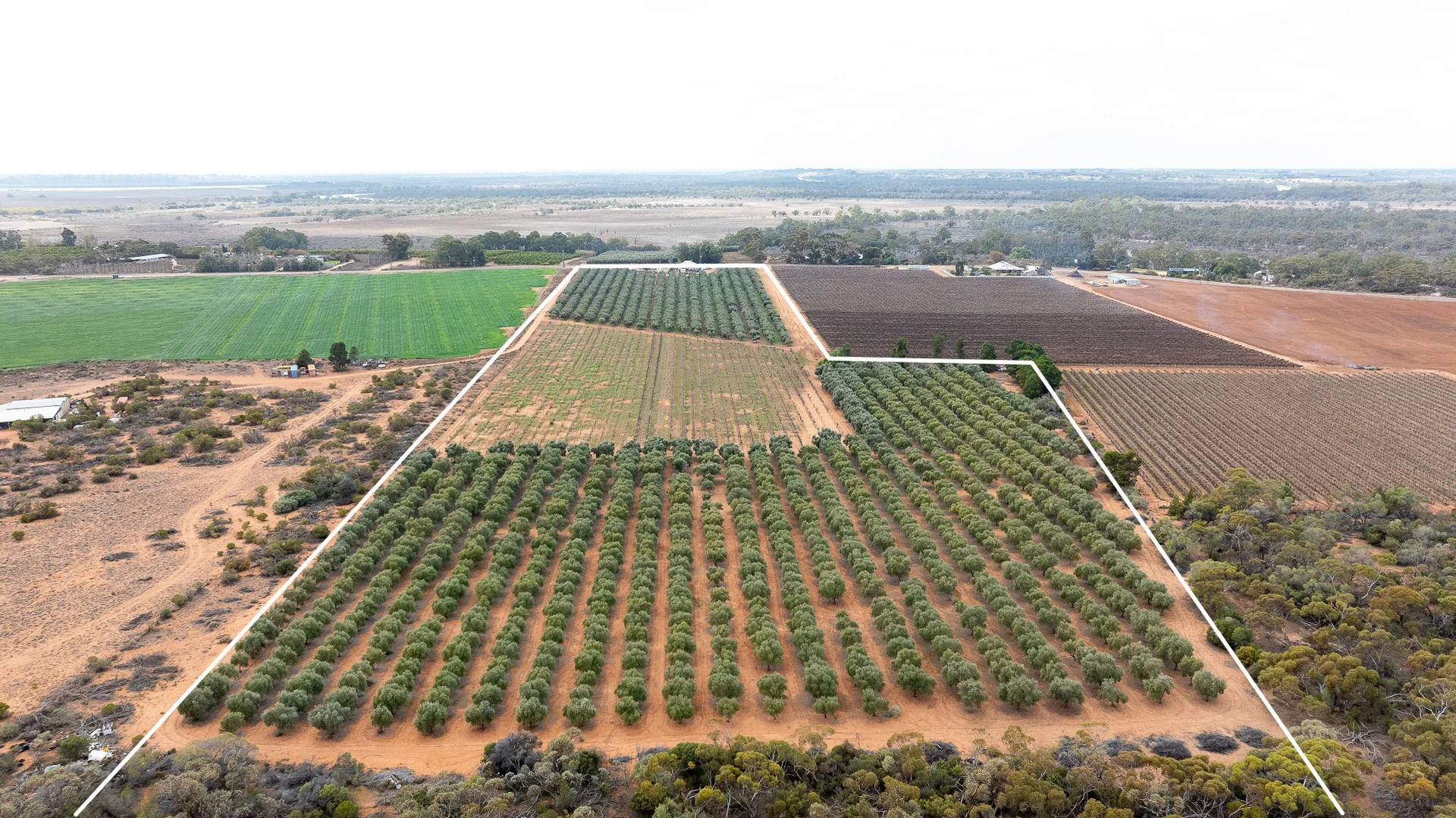 Additional image 9 of 334 Katarapko Crescent, Winkie SA 5343