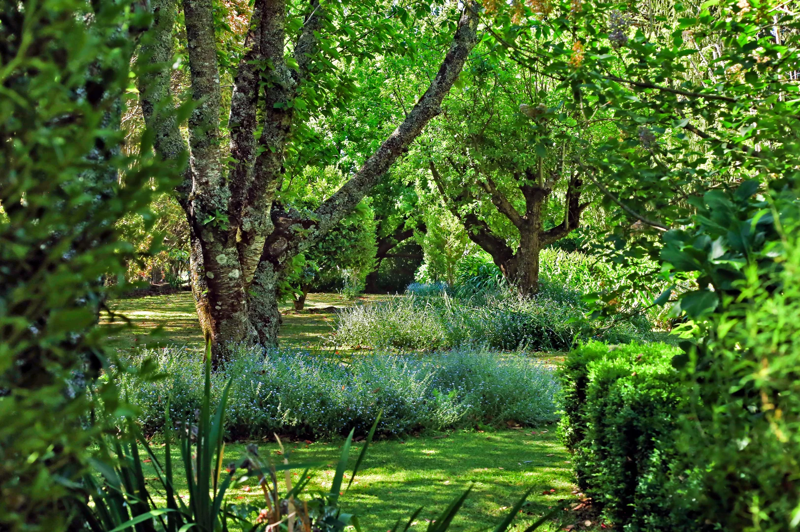 Additional image 15 of 20 Wilsons Lane, Exeter NSW 2579