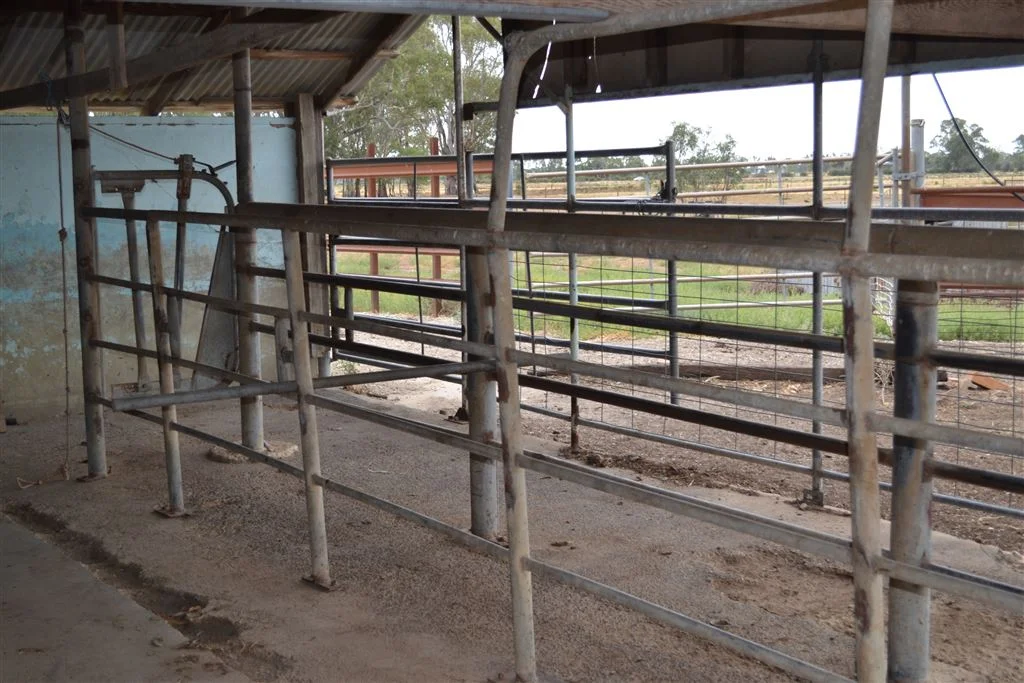 Additional image 6 of 222 Koondrook West Road, Koondrook VIC 3580