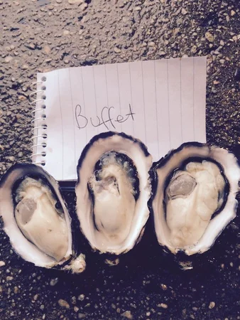 Additional image 10 of Tongue Road, Hastings TAS 7109