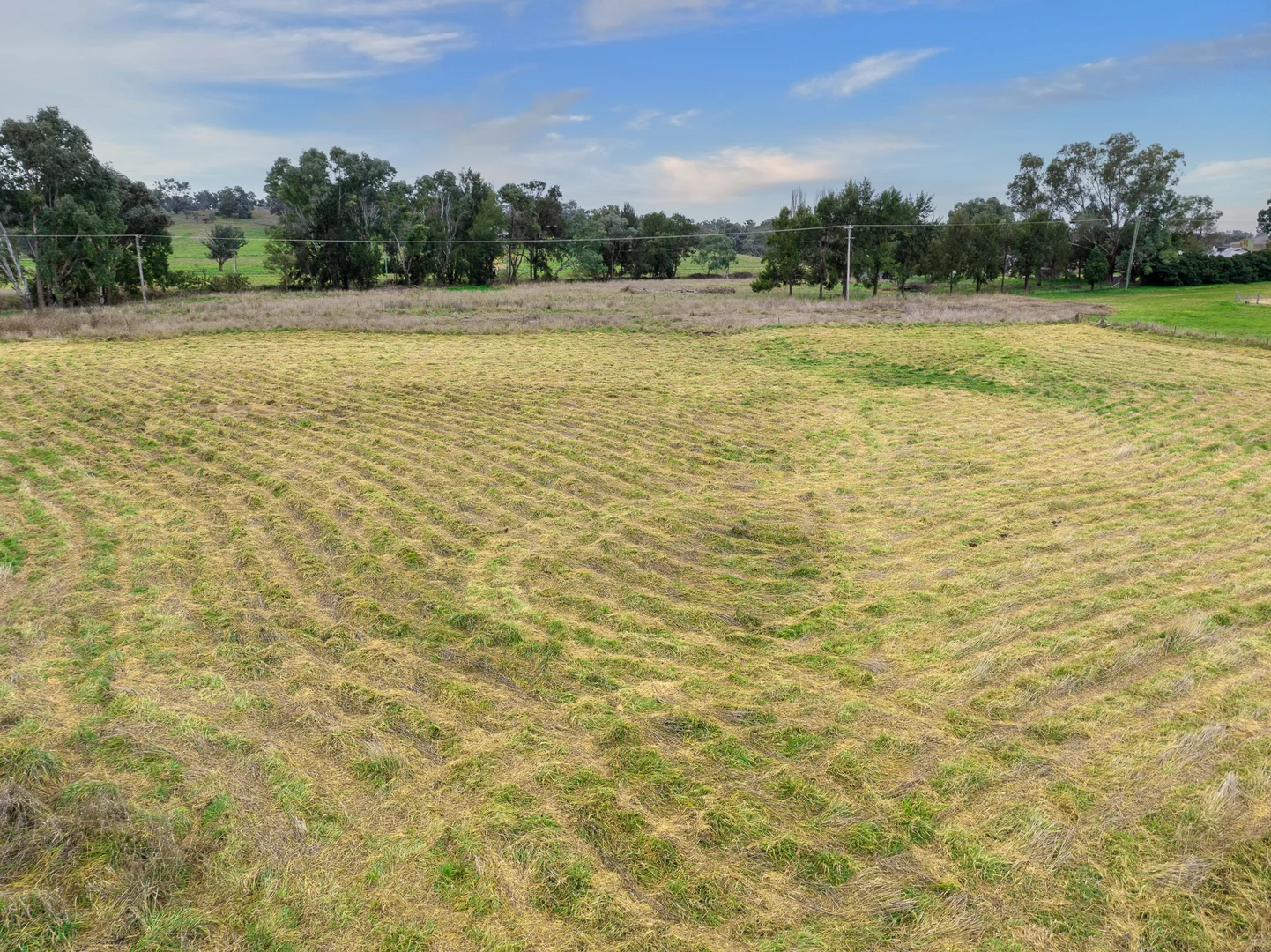 Additional image 4 of Lots 1-4, 27 Flood Street, Cudal NSW 2864