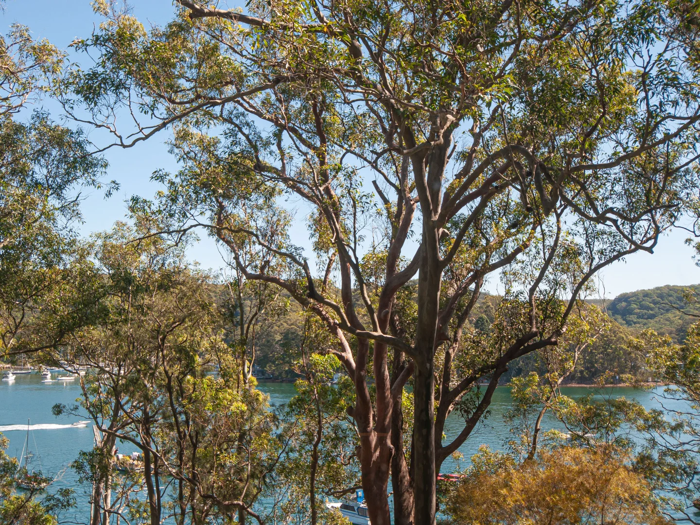 Additional image 17 of 125 Richard Rd, Scotland Island NSW 2105