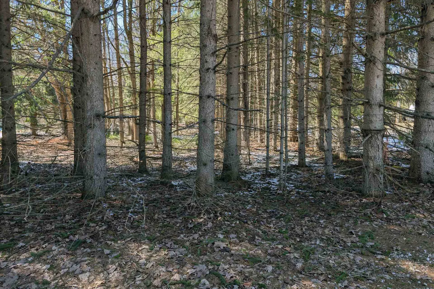 Additional image 9 of 120 Anderson Drive