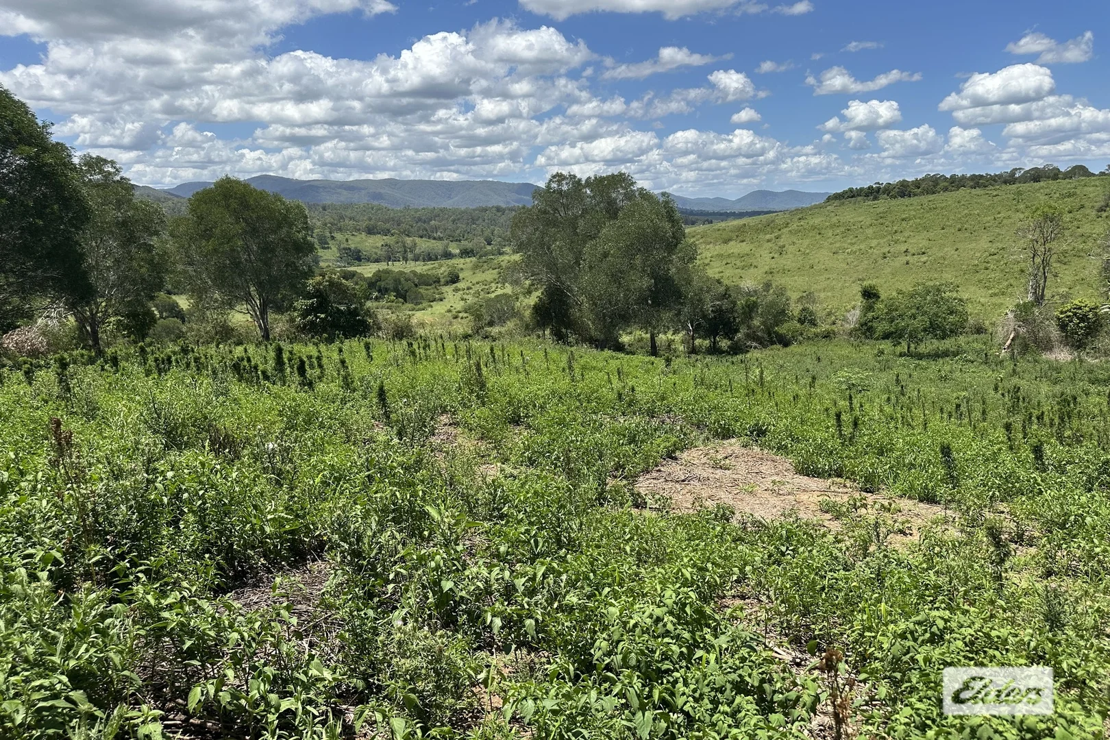 Additional image 24 of 146 Axelsen Drive, Villeneuve QLD 4514