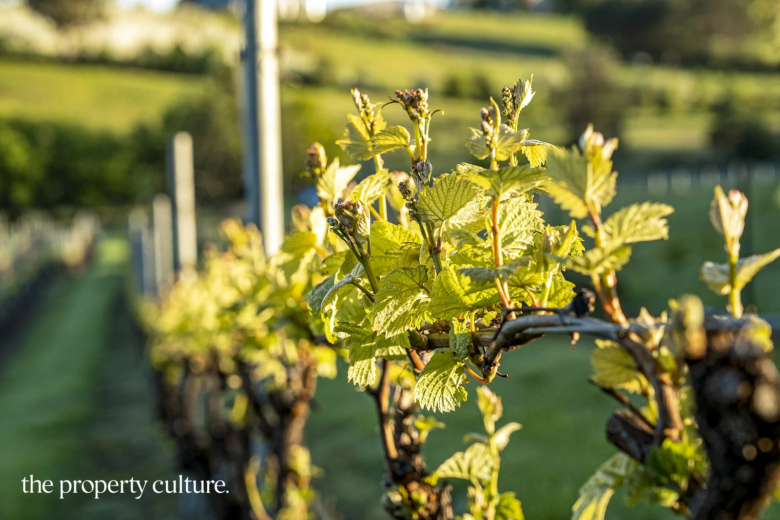 Additional image 3 of 42 Voss Rd, Glaziers Bay TAS 7109