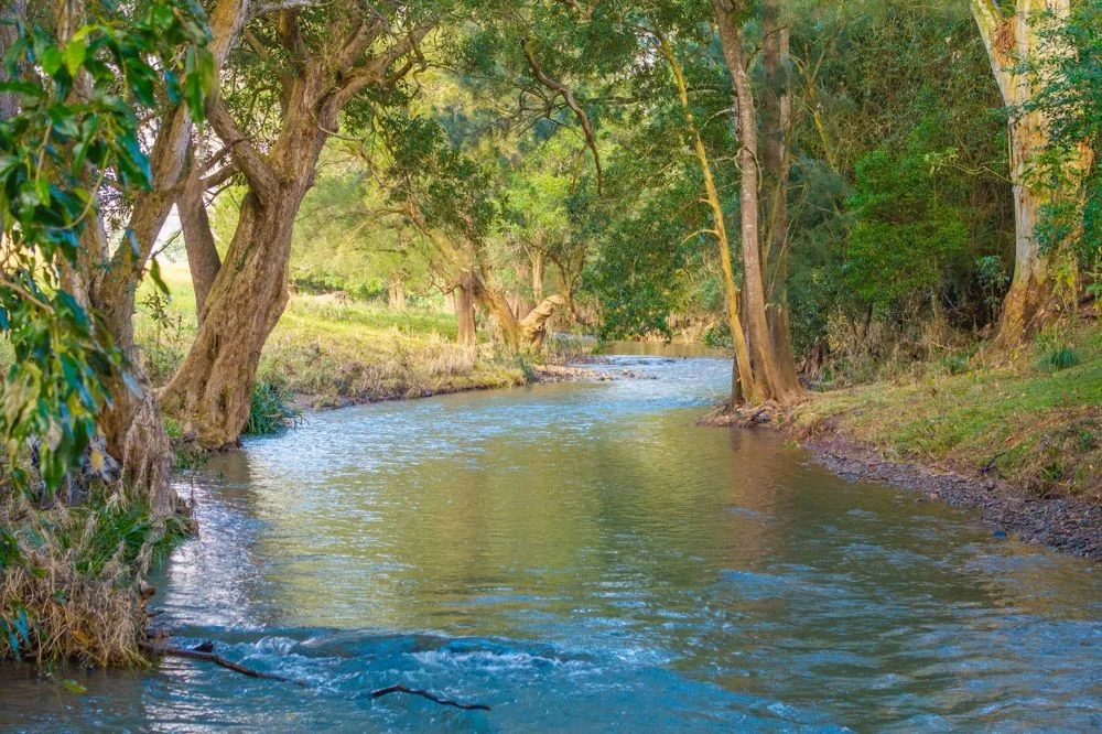 Additional image 2 of 89 Mcmillans Road, Ellenborough NSW 2446