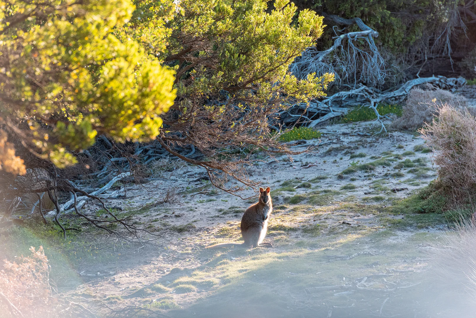 Additional image 14 of Lot 5 West End Road, Leeka TAS 7255