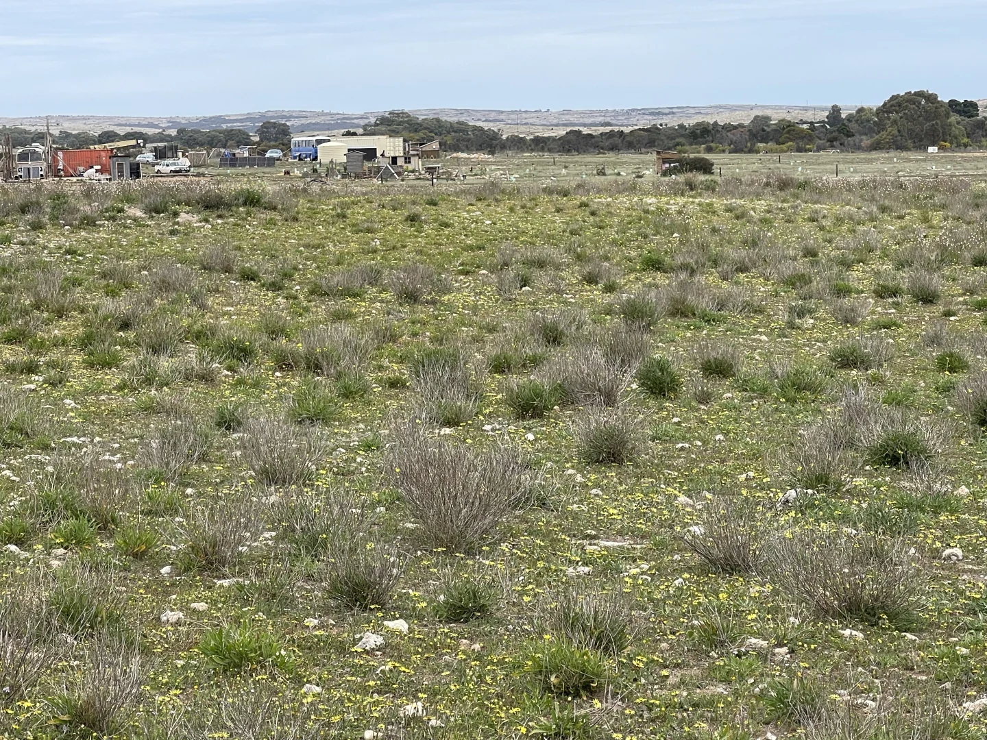 Additional image 20 of 1 Section 217, 217 & 219, Bramfield SA 5670