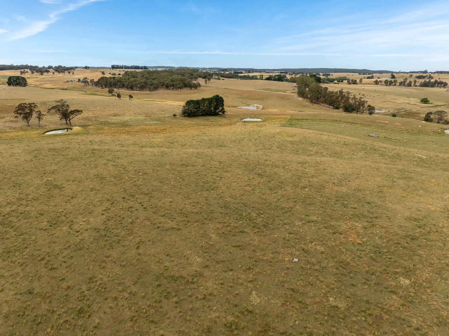 Additional image 53 of 'Top Farm' 1004 Neville-Trunkey Road, Neville NSW 2799