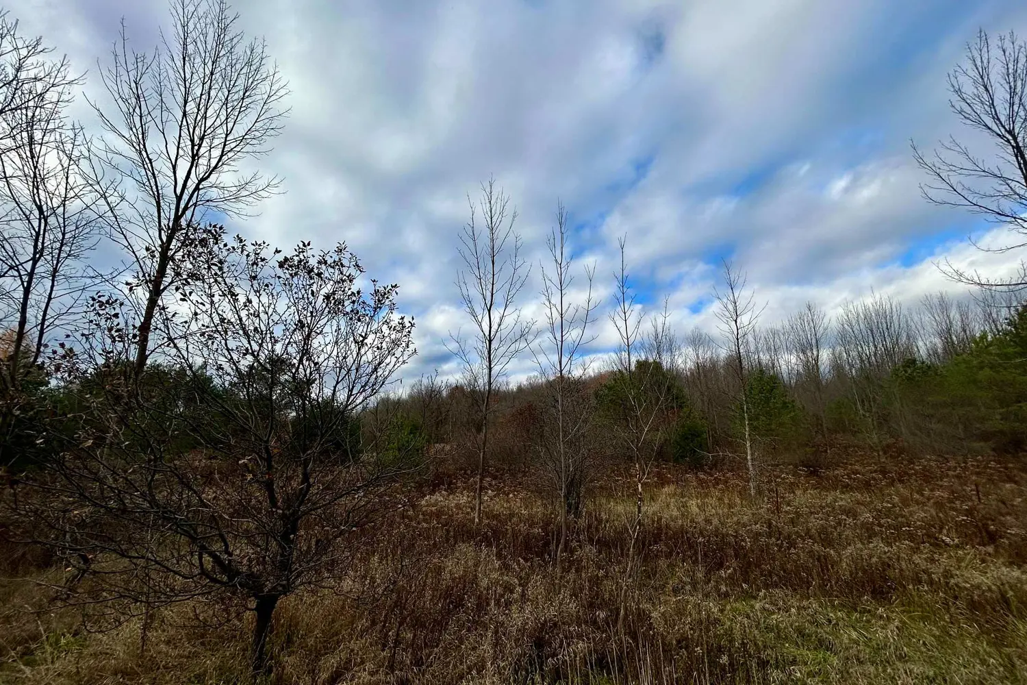 Additional image 6 of 4056 Horseshoe Valley Road