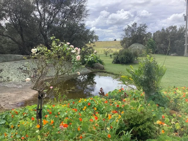 Additional image 4 of 172 Hazelwood Road, Stonehenge NSW 2370