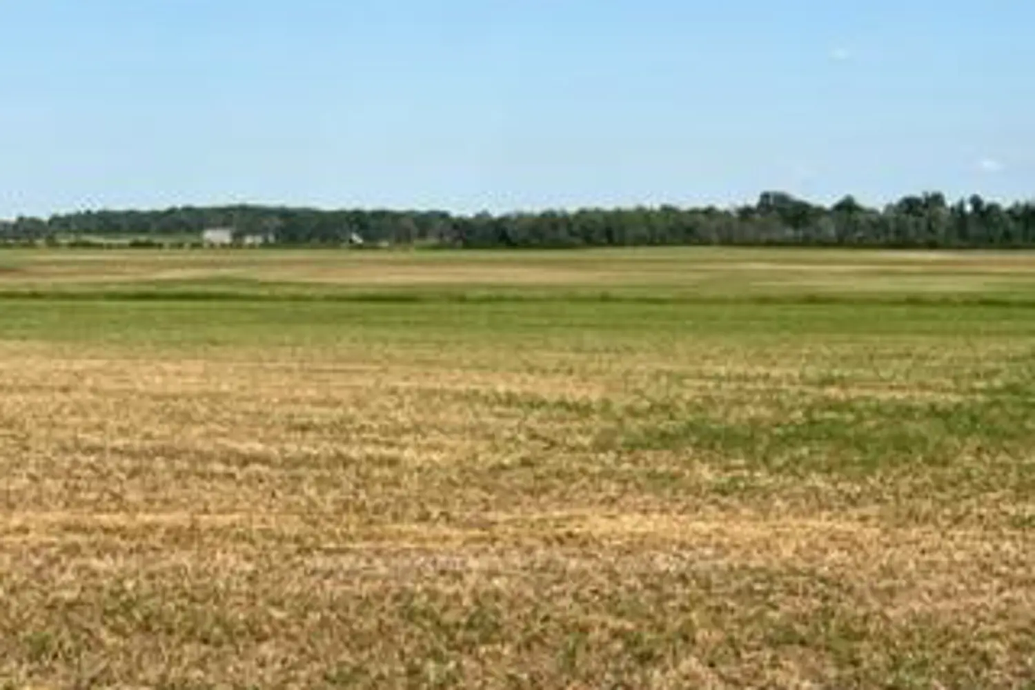 Additional image 13 of 0 Kitley Line 8 Road