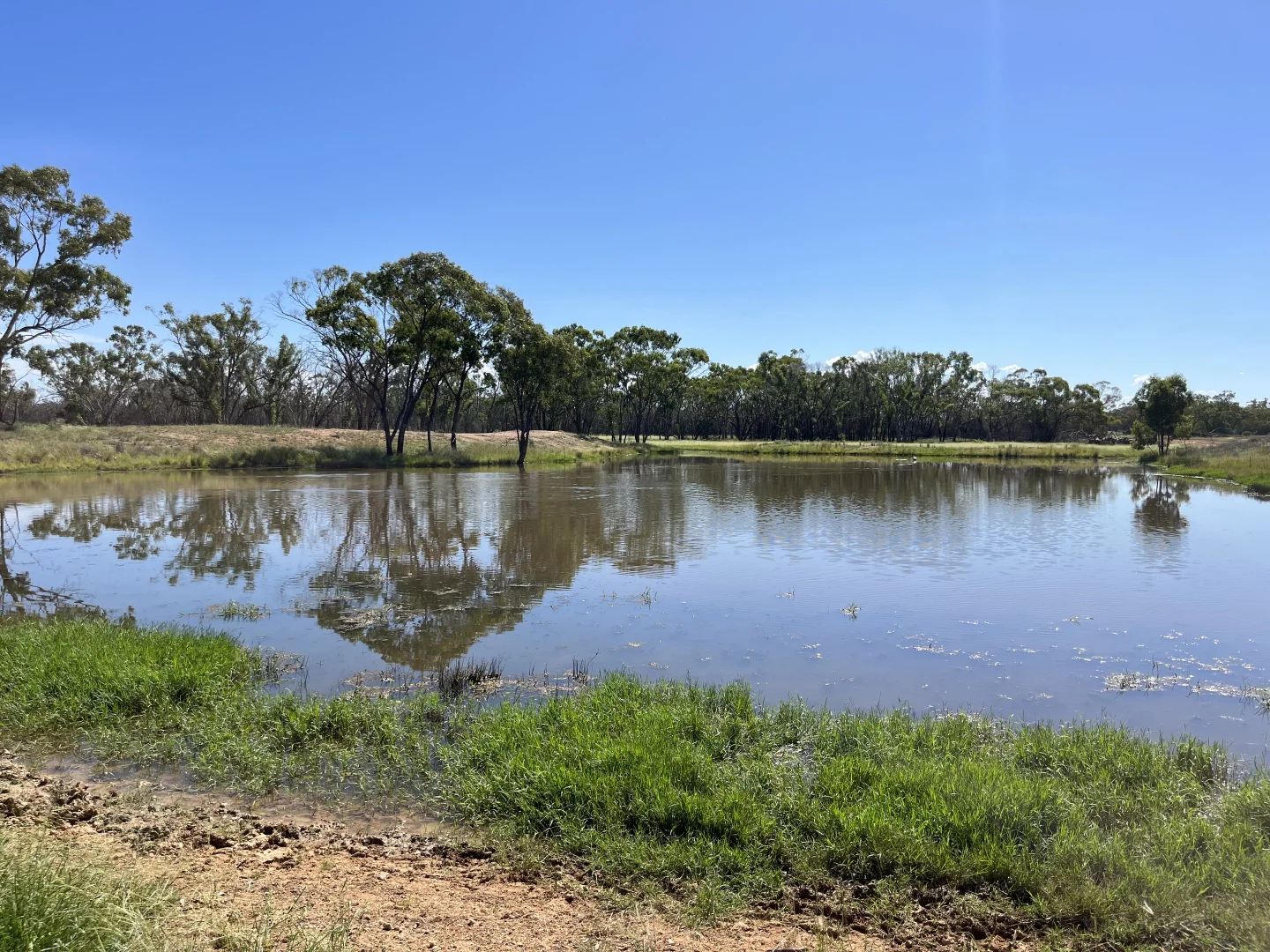 Additional image 26 of "Glendale"/4666 Mitchell Highway, Girilambone NSW 2831