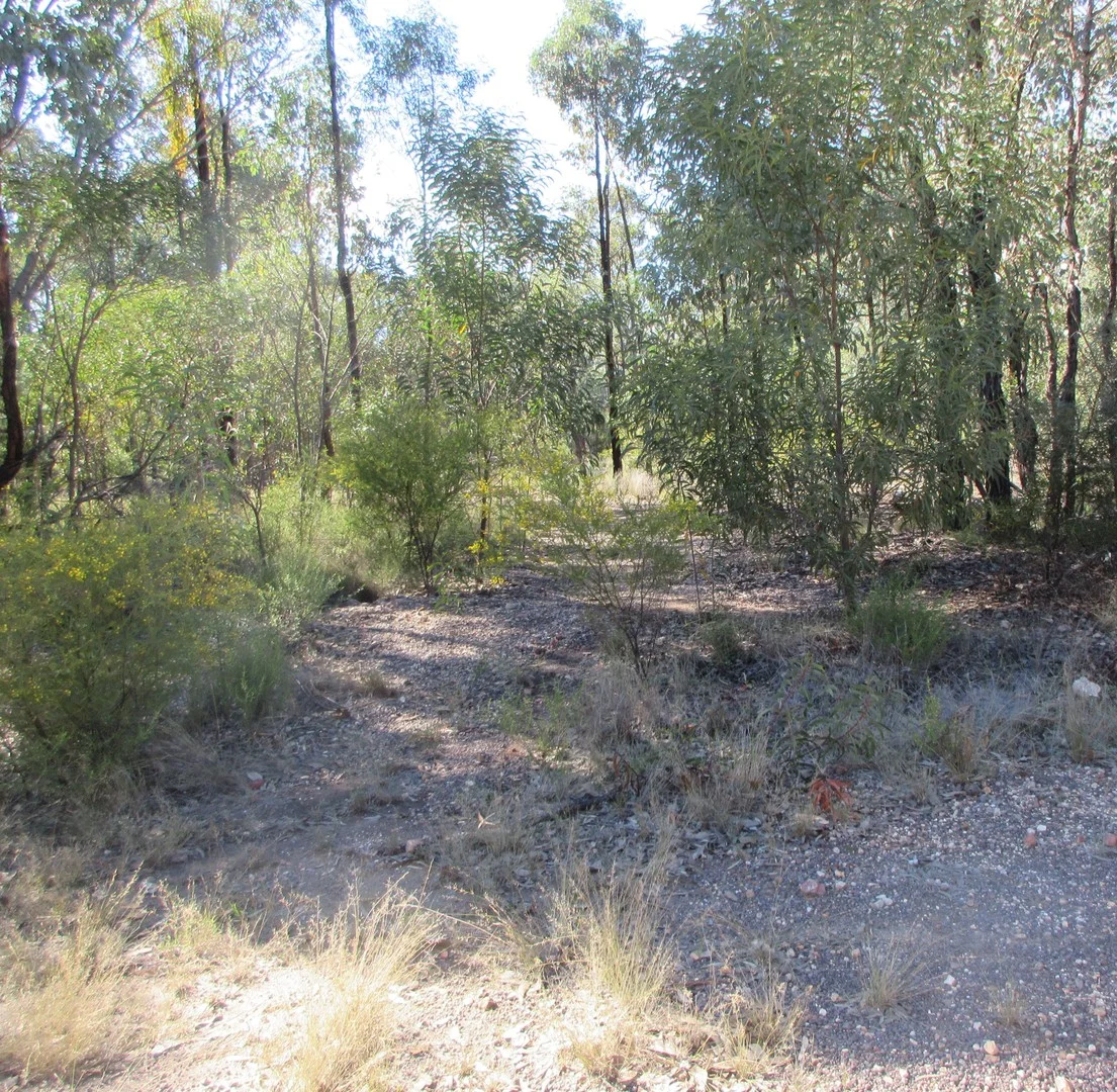 Lot/33 Gazzards Road, Tara QLD 4421