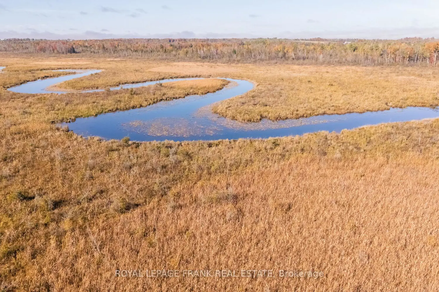 Additional image 8 of 740 Mount Horeb Road