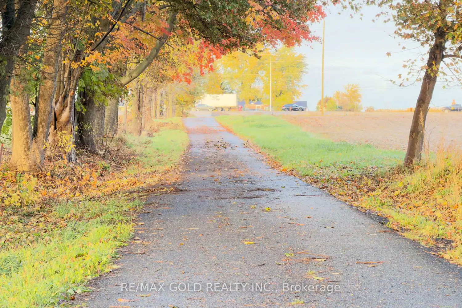 Additional image 4 of 8790 Trafalgar Road