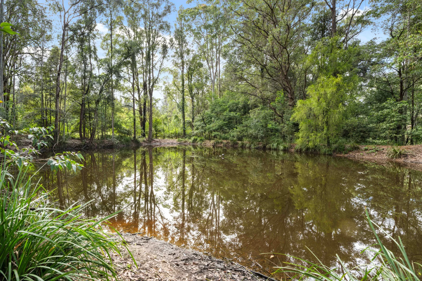 Additional image 34 of 1275 Illaroo Road, Tapitallee NSW 2540