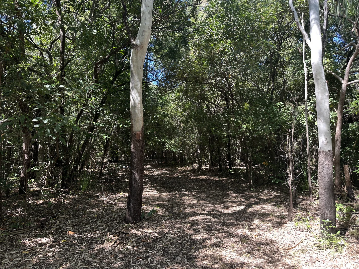 Additional image 7 of 135 Horseshoe Bay Rd, Horseshoe Bay QLD 4819