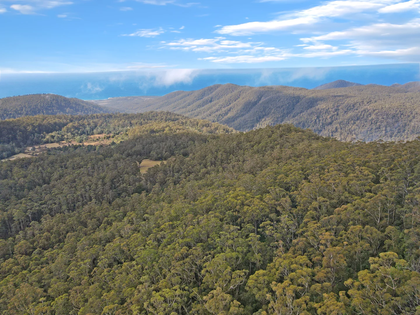 Additional image 8 of PID 7229246 Irish Town Road, St Marys TAS 7215