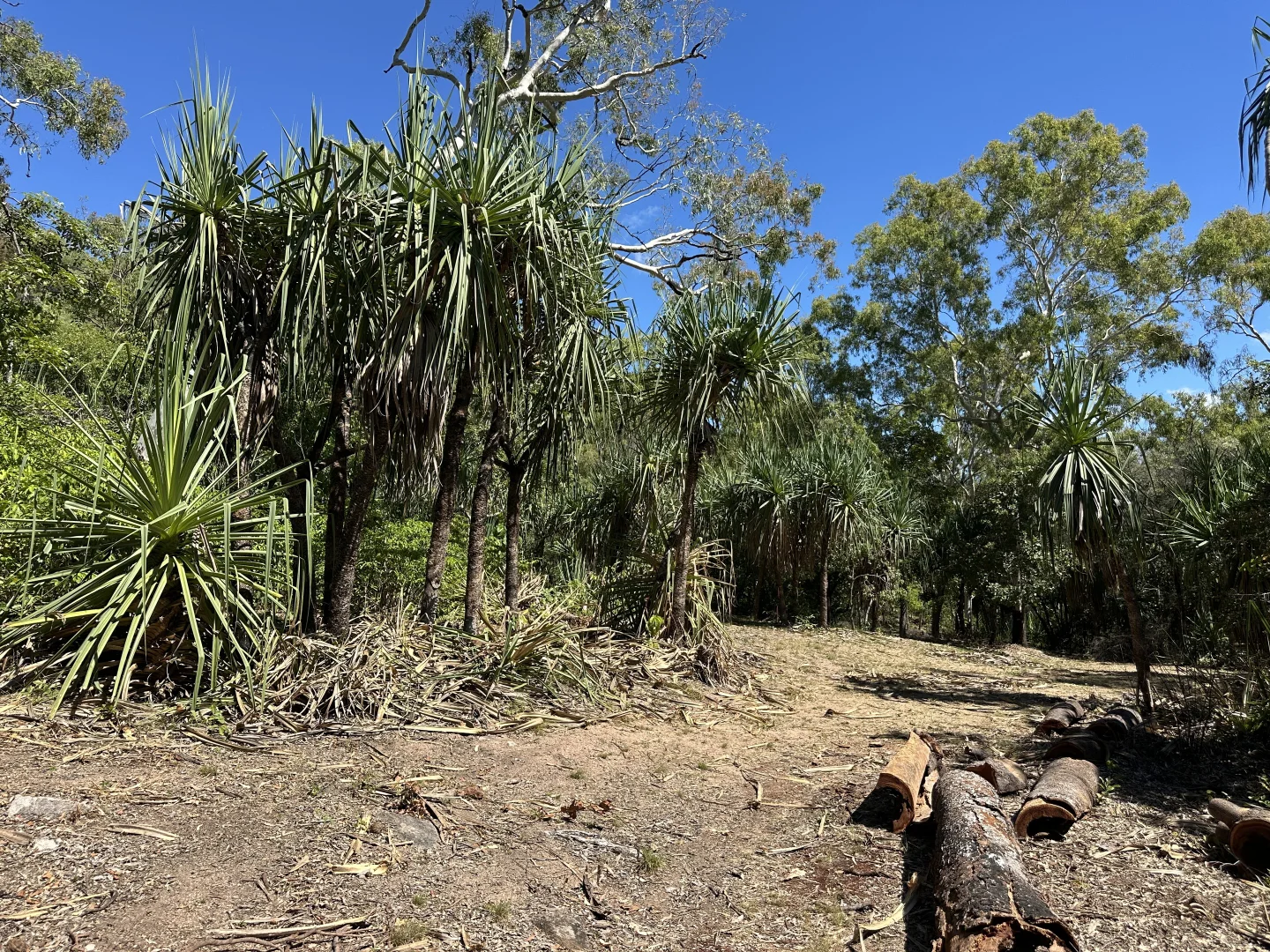 Additional image 12 of 135 Horseshoe Bay Rd, Horseshoe Bay QLD 4819