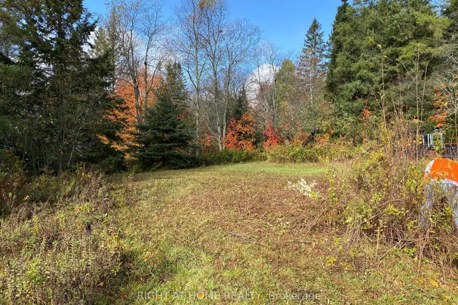 Additional image 8 of 2263 Machar Strong Boundry Road