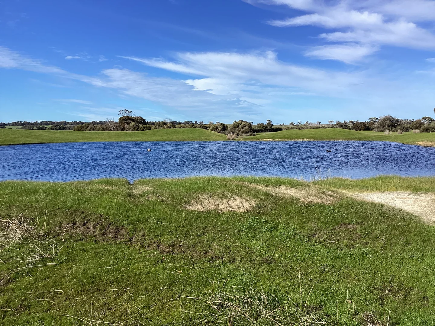 Additional image 10 of Lot 101 Schaefer Road, Seddon SA 5223