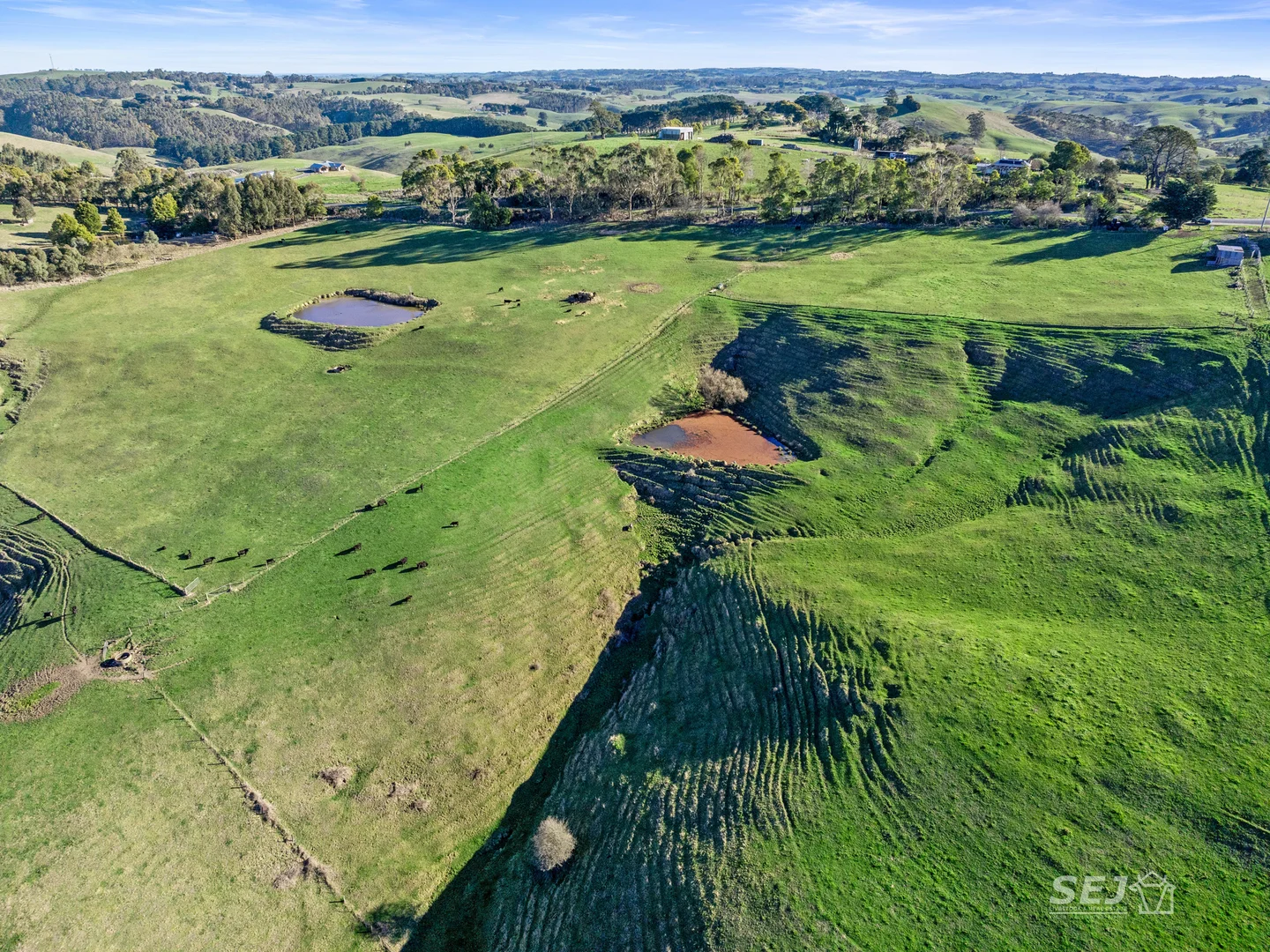 Additional image 11 of 710 Korumburra - Warragul Road, Ranceby VIC 3951