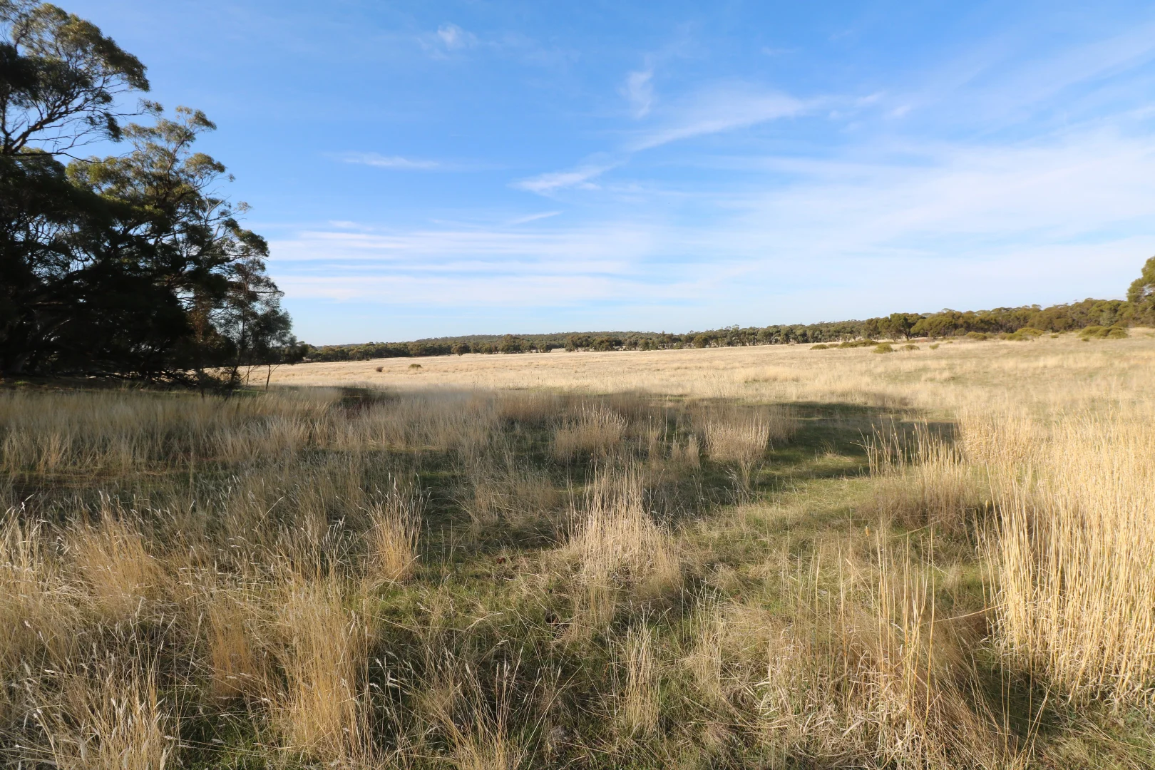 Additional image 24 of 84A Woolshed Flat Road, Wychitella VIC 3525