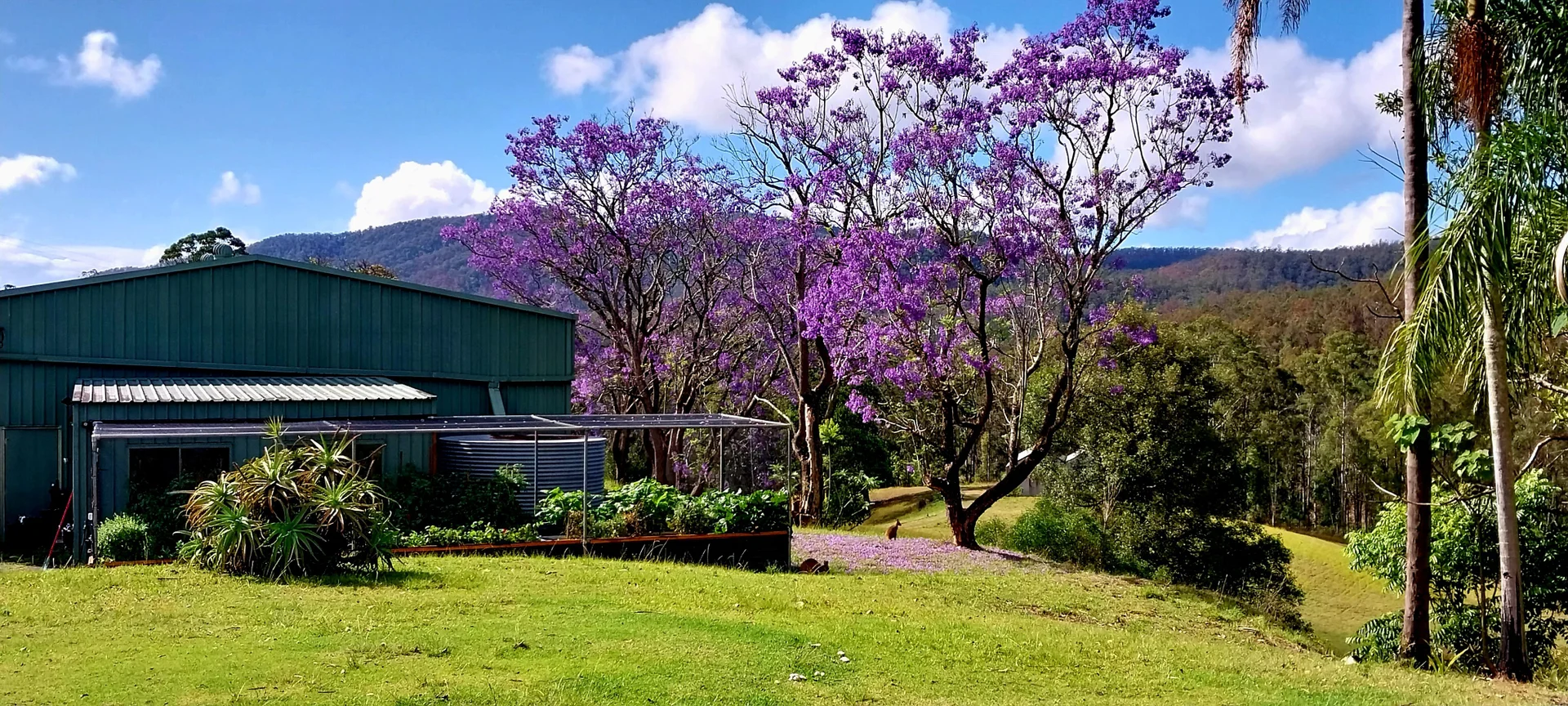 Additional image 16 of Bellangry NSW 2446