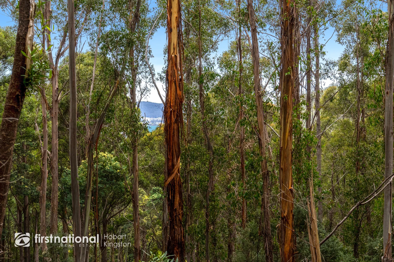 Additional image 9 of 240 Watsons Road, Kettering TAS 7155