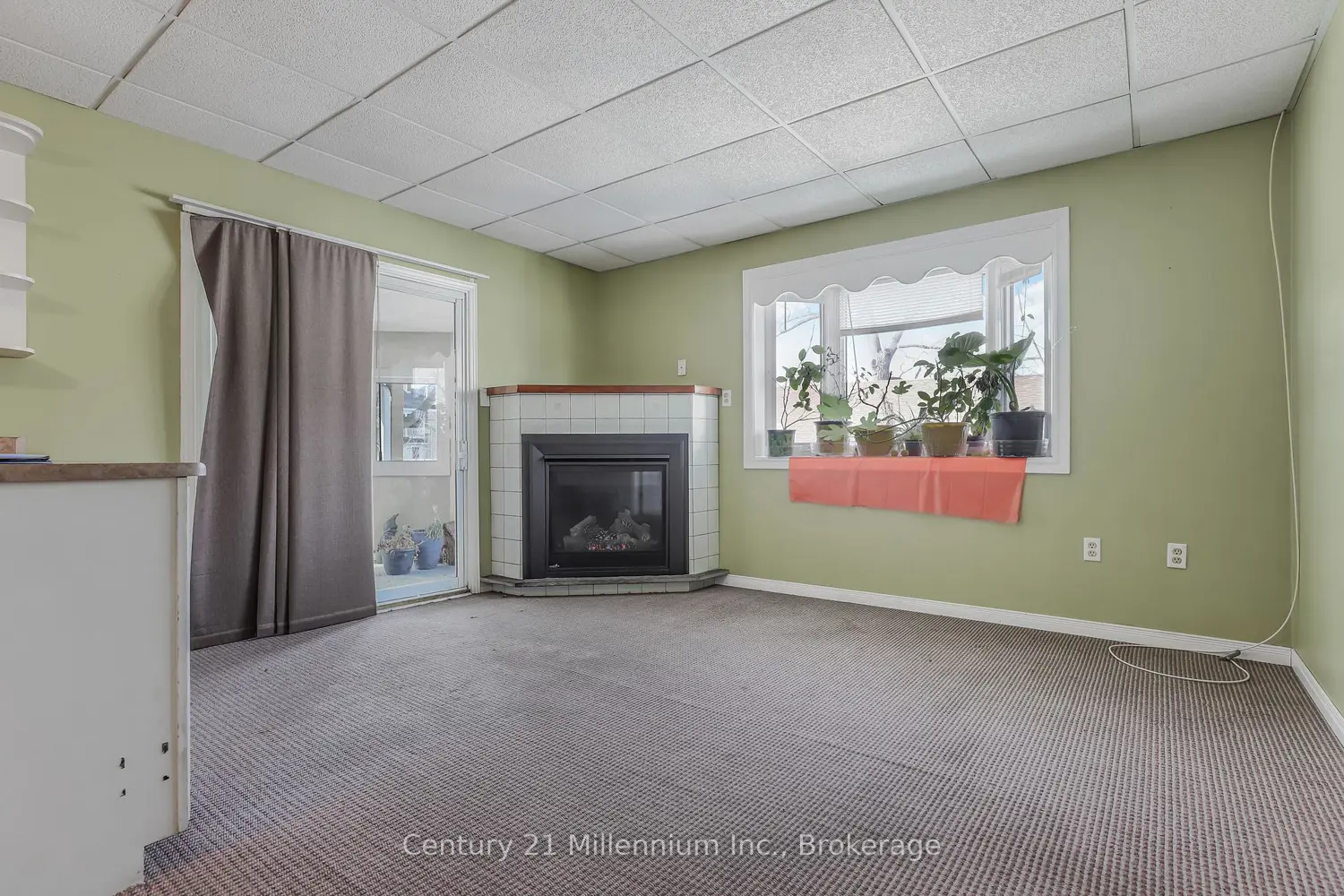 Additional image 15 of 228 Palmerston Street