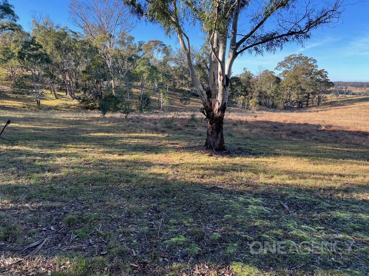 Additional image 5 of 67 Sawpit Lane, Bungonia NSW 2580